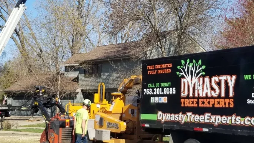 Dynasty+Tree+Expert-0018-1920w