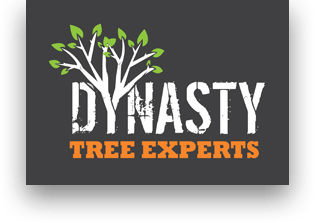 Dynasty Tree Experts