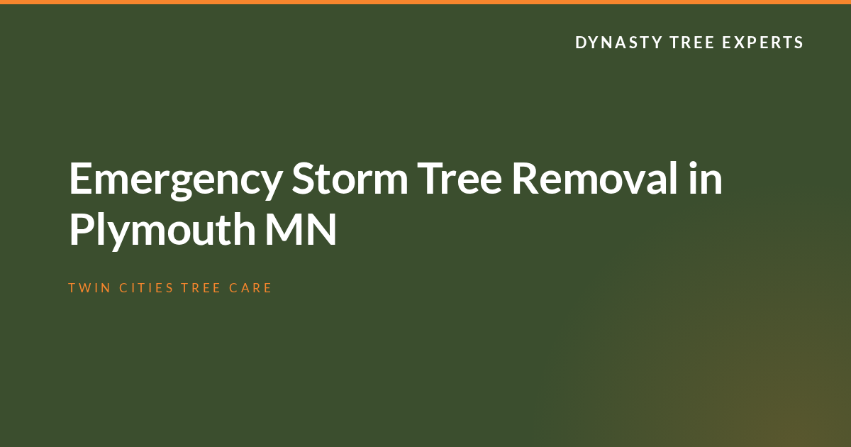 Emergency Storm Tree Removal in Plymouth MN